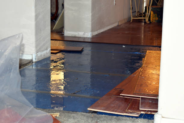Professional Water Damage Restoration technician working in Akron, CO